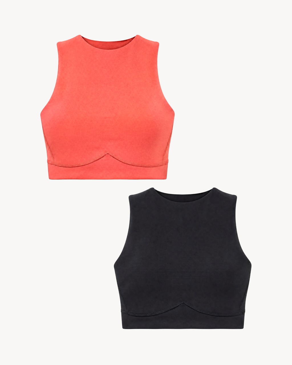 Ultimate Petite Crop Top Bundle
